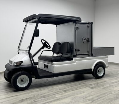 voiturette électrique TWIN