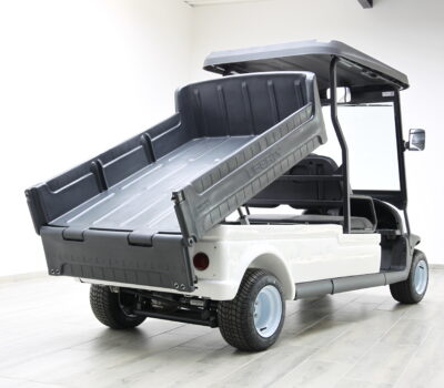 voiturette électrique BENNE PLASTIQUE 165